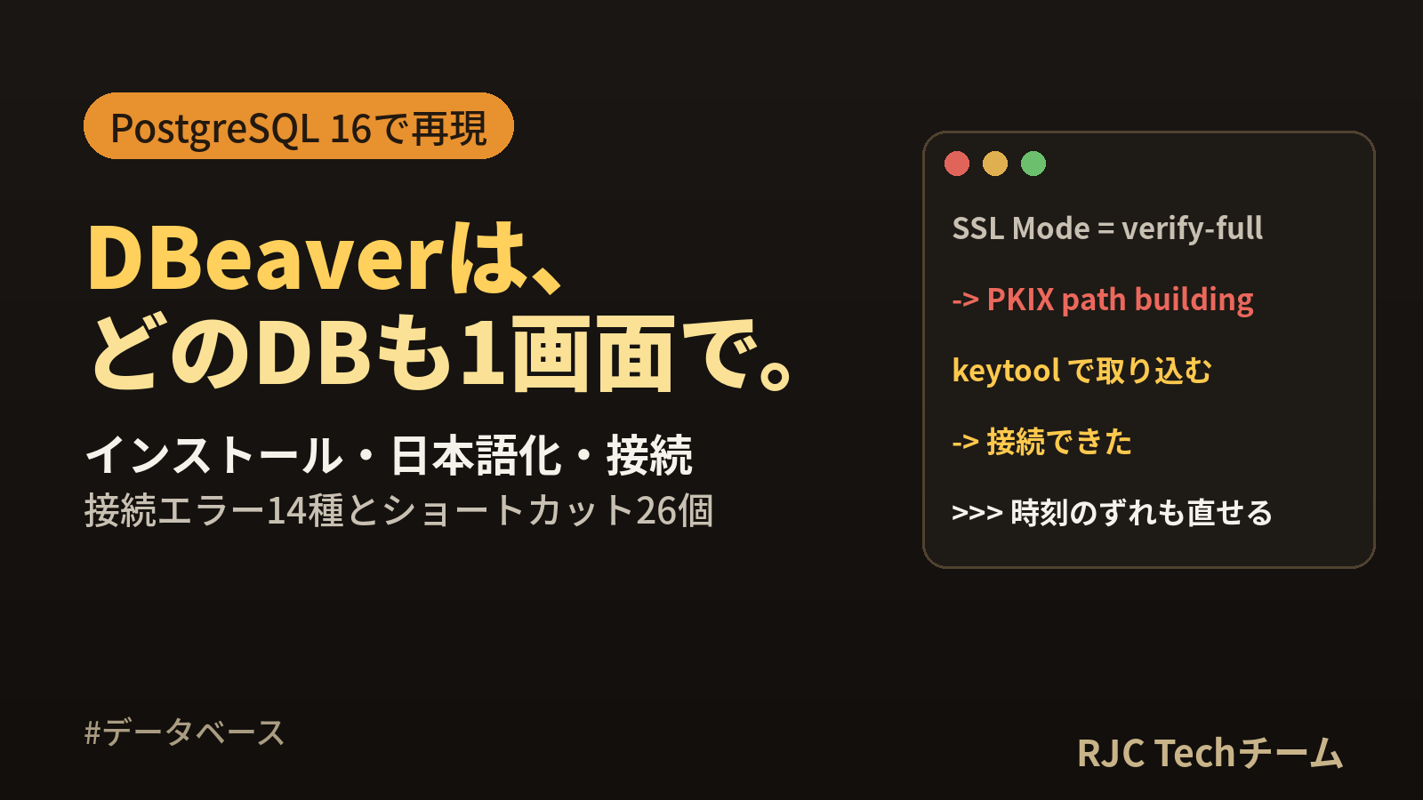 DBeaverとは｜インストール・日本語化・接続の使い方とエラー対処